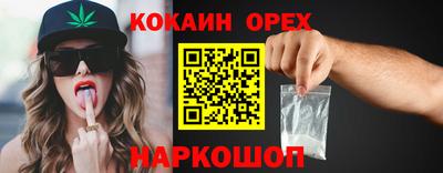 прущие грибы Ставрополь