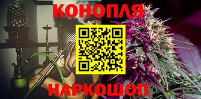 прущие грибы Ставрополь