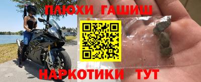 прущие грибы Ставрополь