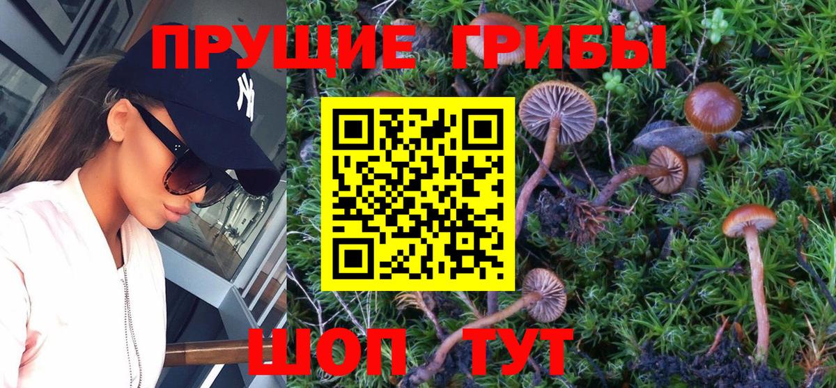 Галлюциногенные грибы прущие грибы Павлово