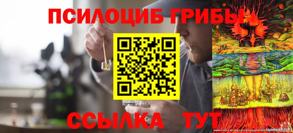 Псилоцибиновые грибы Cubensis  Вход с VPN  Павлово 